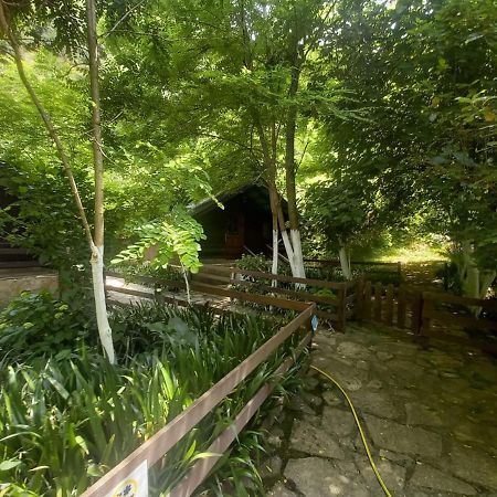 סרנדה Villa Syri Kalter מראה חיצוני תמונה