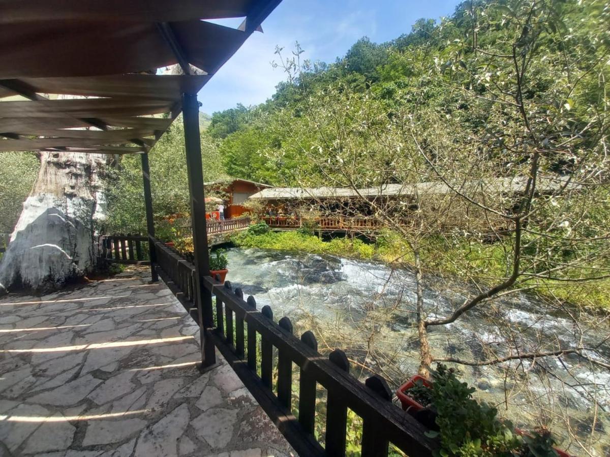 סרנדה Villa Syri Kalter מראה חיצוני תמונה