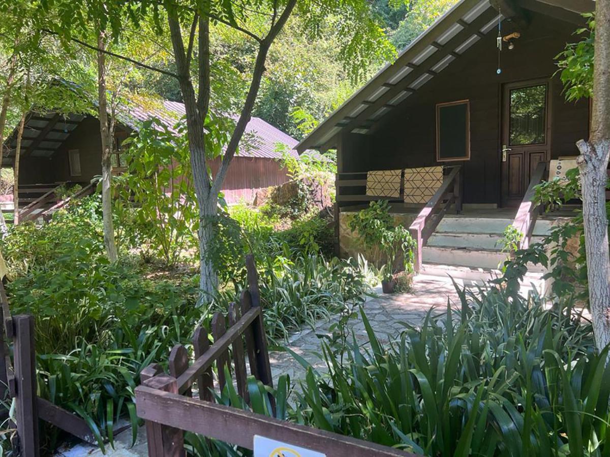 סרנדה Villa Syri Kalter מראה חיצוני תמונה